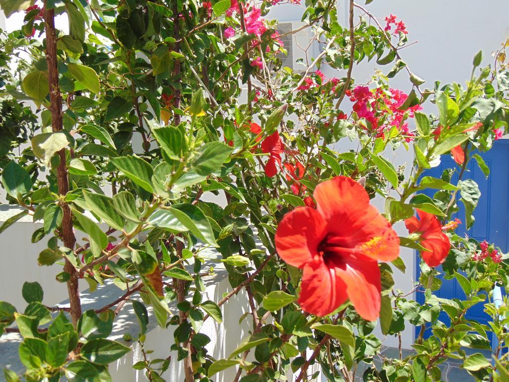 George'S Seaside Apartments Sifnos فاثي المظهر الخارجي الصورة